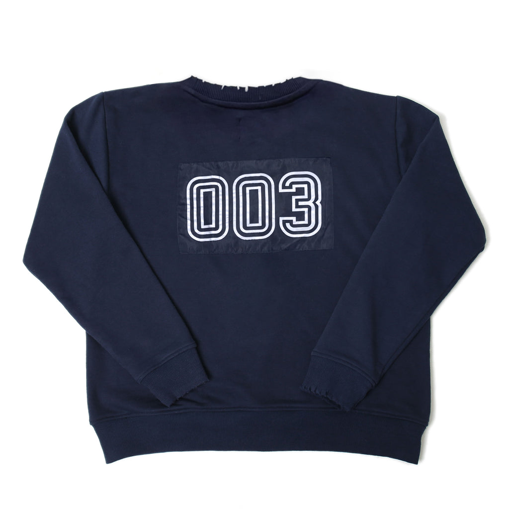 Load image into Gallery viewer, RAPTOR SWEATSHIRT