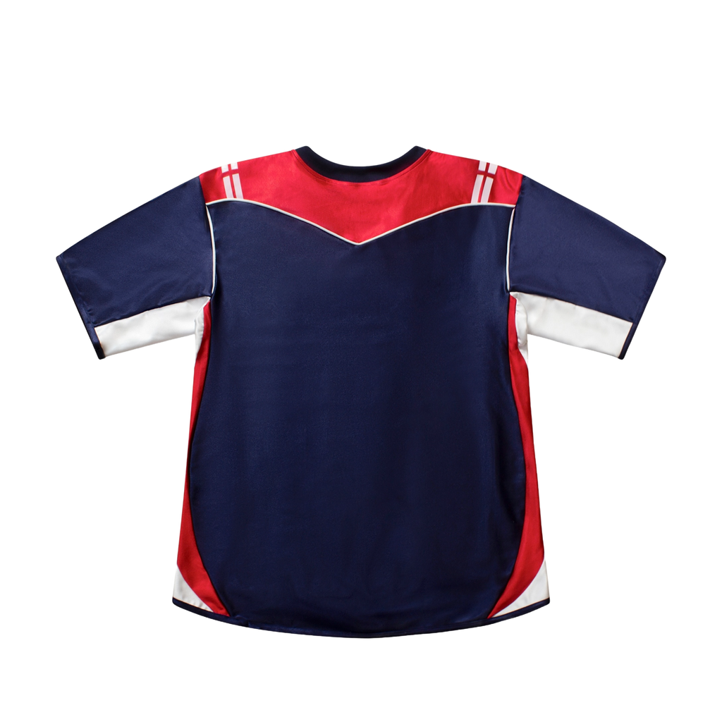 Load image into Gallery viewer, 3 LIONS JERSEY
